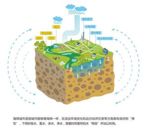 1515654102947920.png 1.png