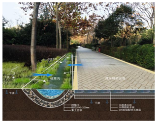 1515654116330491.png 3.png