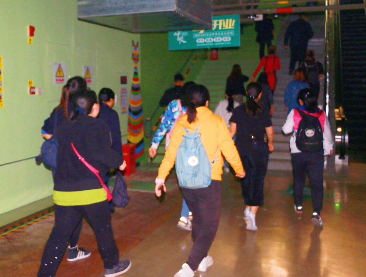 1543923980709426.jpg 5.jpg